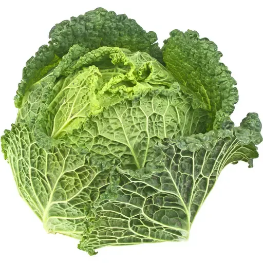Chou vert frisé
