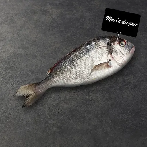 MON POISSONNIER Dorade royale d'élevage vidée grattée avec tête CULTIVONS LE BON