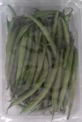 Haricots vert fins