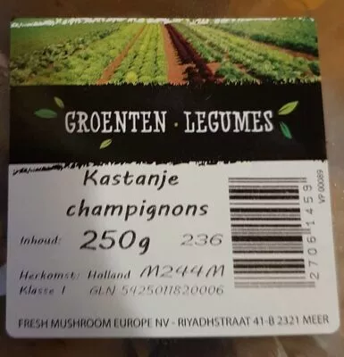 Kastanje champignons