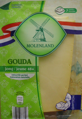 Image descriptive de Gouda jeune