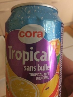 Image descriptive de Tropicalsansbulle