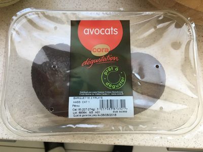 Image descriptive de Avocats