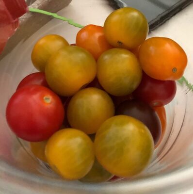 Mélange de tomates cerises