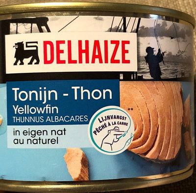 Image descriptive de Thon au naturel