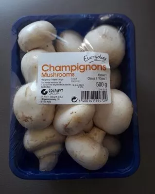 Champignons