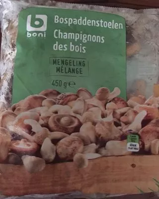 Champignons des bois