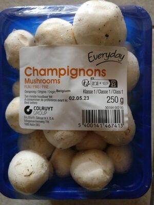 Champignons