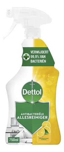 DETTOL Power&Fresh spray citron 750ml