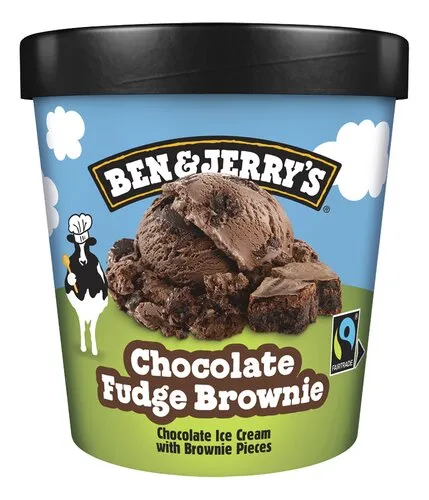 B&J Chocolate Fudge Brownie